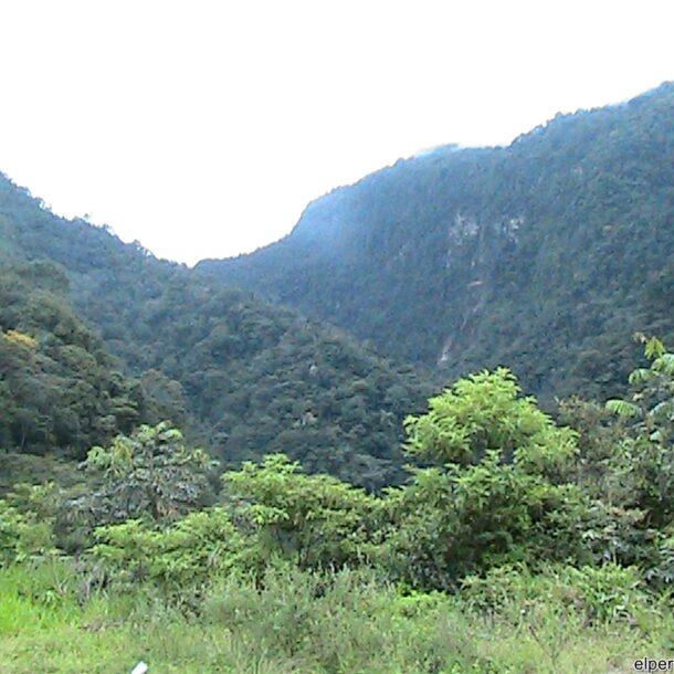 Rio Mayo, Los bungalos / bungalows de Santa Ana, Tarapoto, Cordillera Escalera