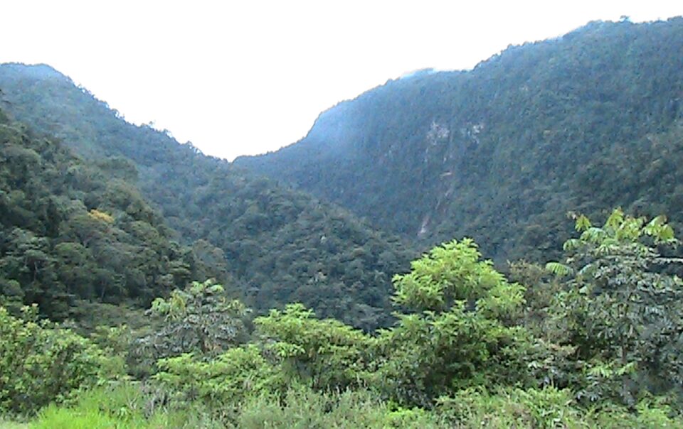 Rio Mayo, Los bungalos / bungalows de Santa Ana, Tarapoto, Cordillera Escalera